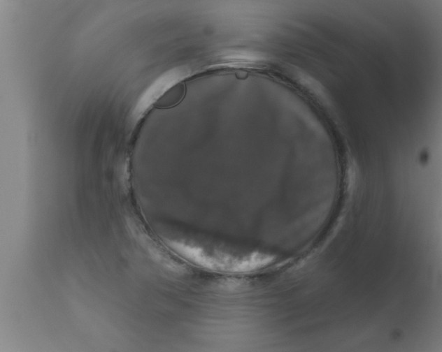 X0000111161362200907211217