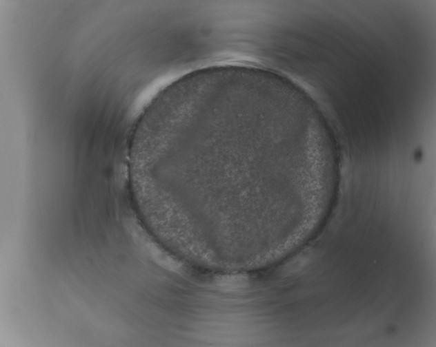 X0000111161363200907211217