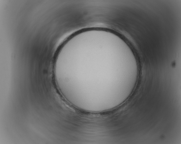 X0000111161364200907211217