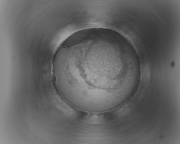 X0000111161365200907211217