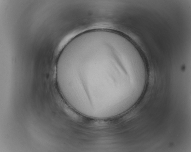 X0000111161366200907211217