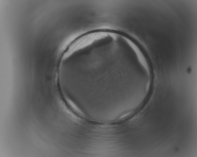 X0000111161367200907211217