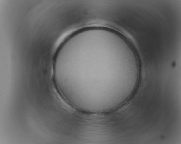 X0000111161368200907211217