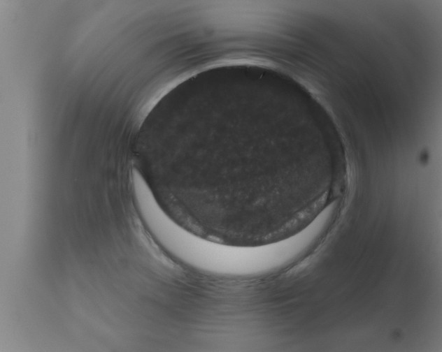 X0000111161369200907211217