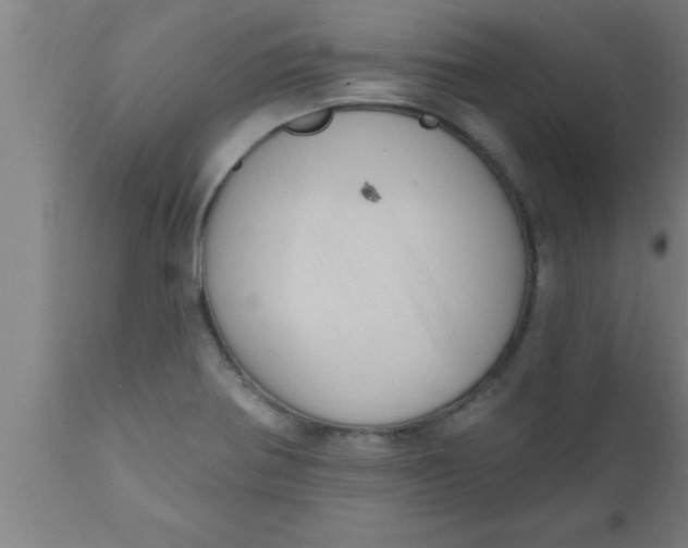 X0000111161370200907211217