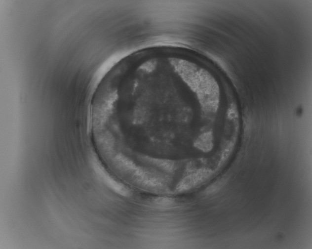 X0000111161371200907211217