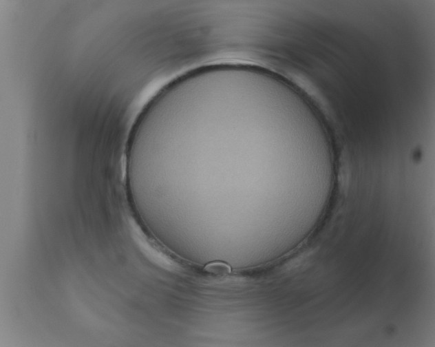 X0000111161372200907211217