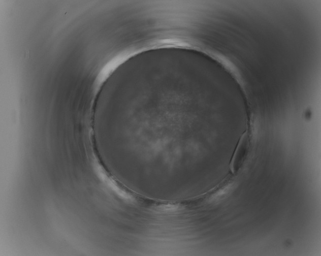 X0000111161373200907211217