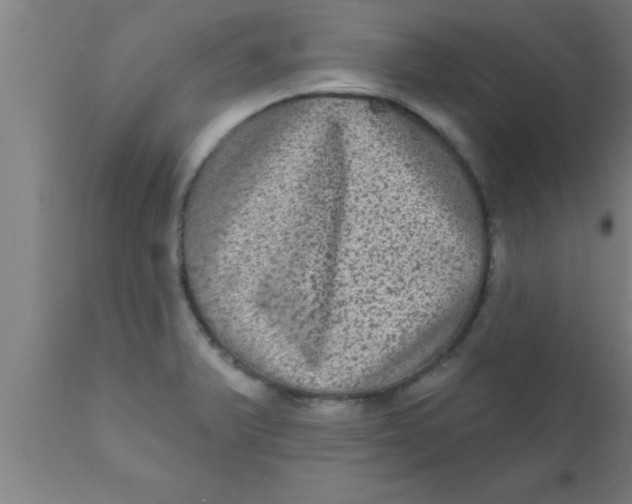 X0000111161375200907211217