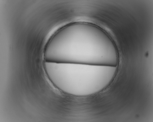 X0000111161376200907211217