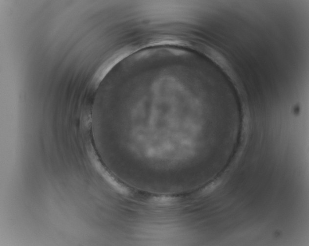 X0000111161377200907211217