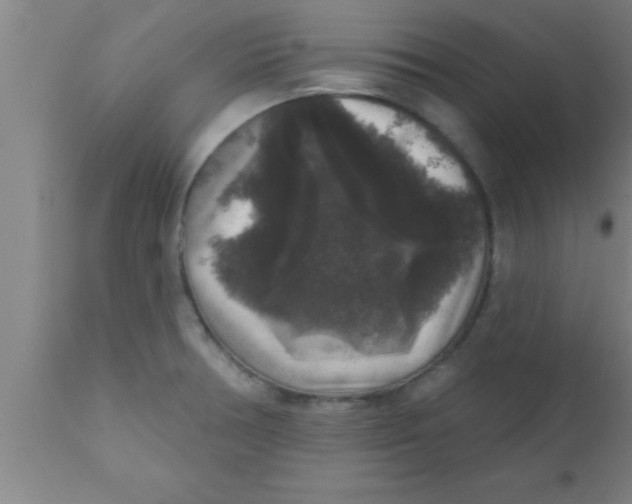 X0000111161378200907211217