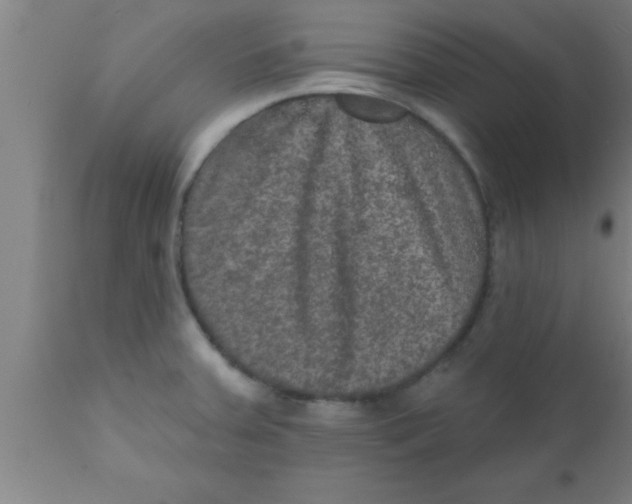 X0000111161379200907211217