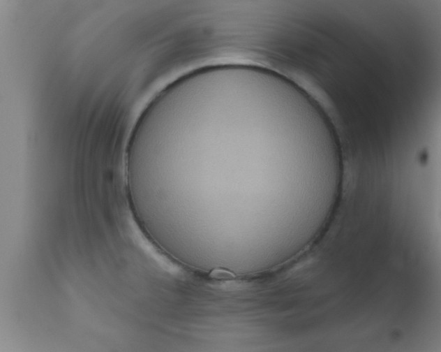 X0000111161380200907211217