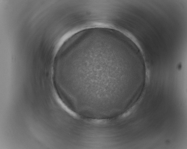 X0000111161381200907211217