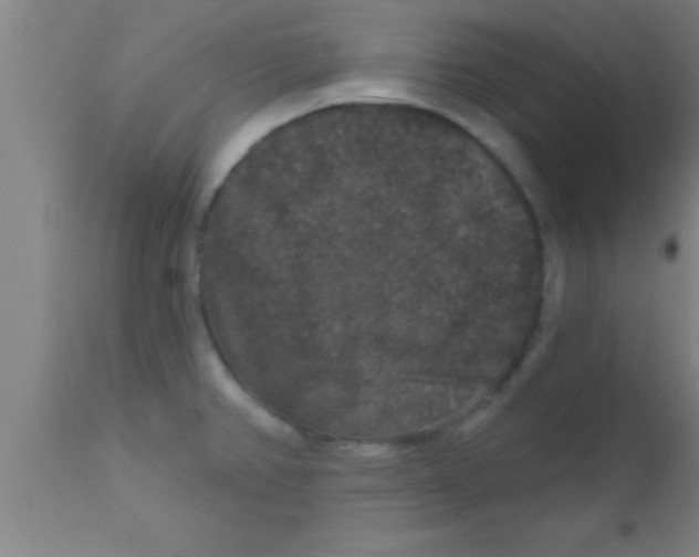 X0000111161382200907211217