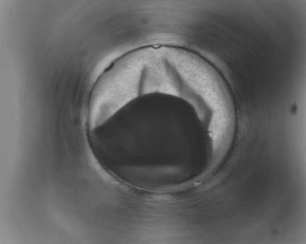 X0000111161383200907211217