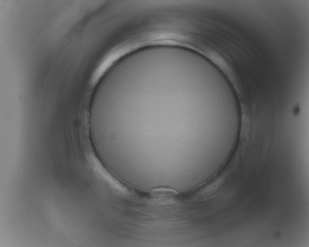 X0000111161384200907211217