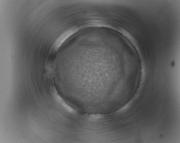 X0000111161385200907211217