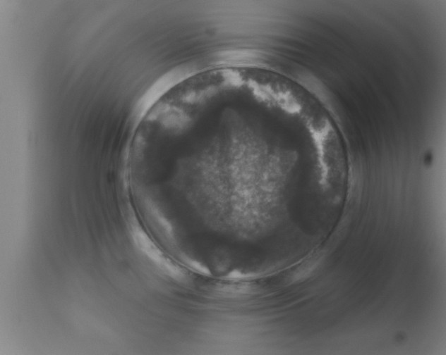 X0000111161386200907211216