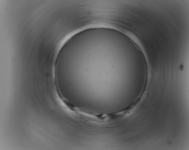 X0000111161388200907211216