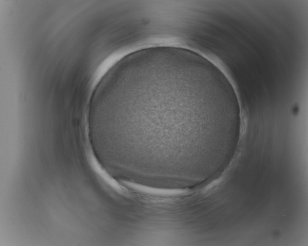 X0000111161389200907211216