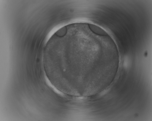 X0000111161390200907211216