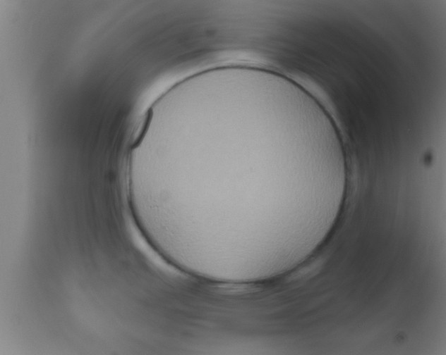 X0000111161391200907211216