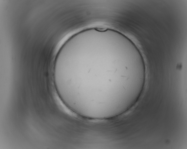 X0000111161392200907211216