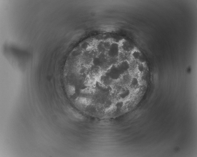 X0000111161393200907211216