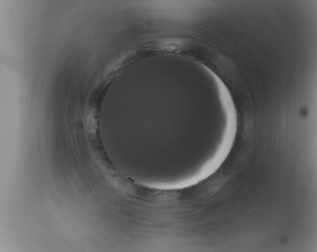 X0000111161394200907211216