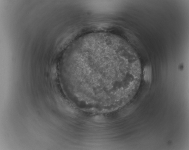 X0000111161395200907211216