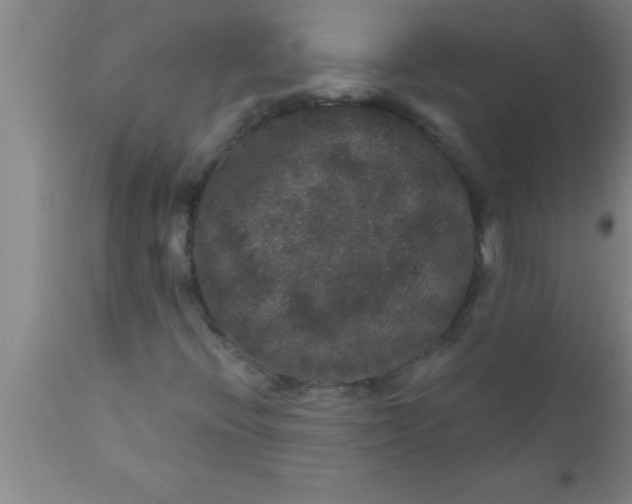 X0000111161396200907211216