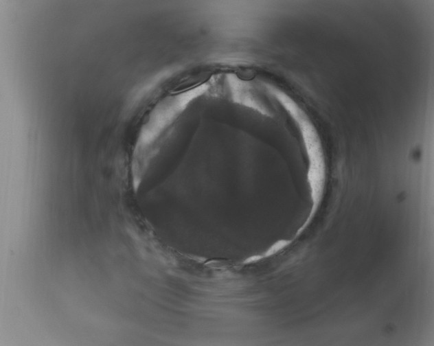 X0000111161398200907211216