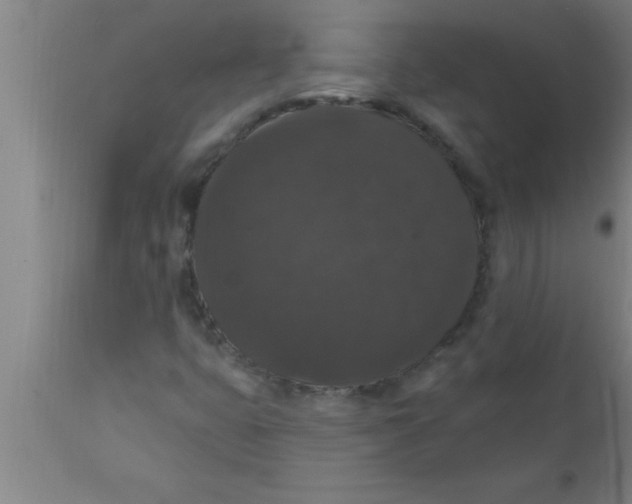 X0000111161399200907211216