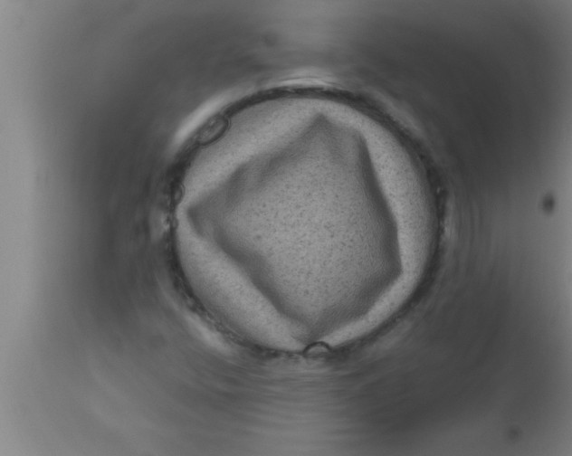 X0000111161400200907211216