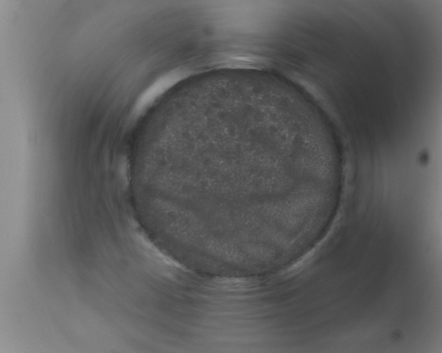 X0000111161402200907211216