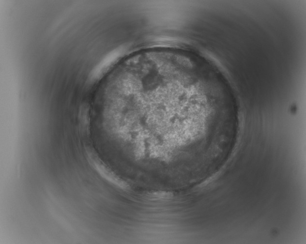 X0000111161403200907211216