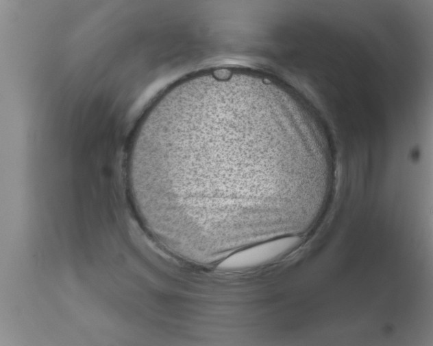 X0000111161404200907211216