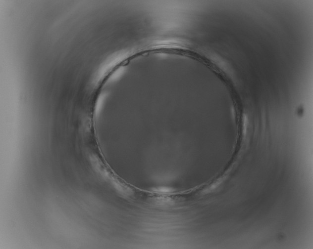 X0000111161405200907211216