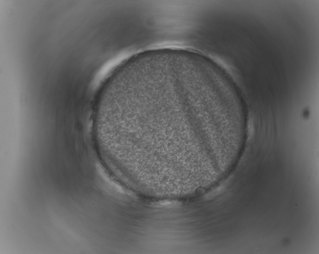 X0000111161406200907211216