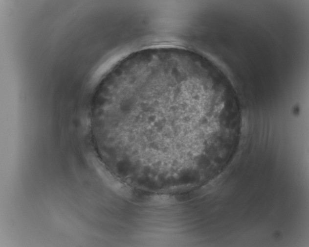 X0000111161407200907211216