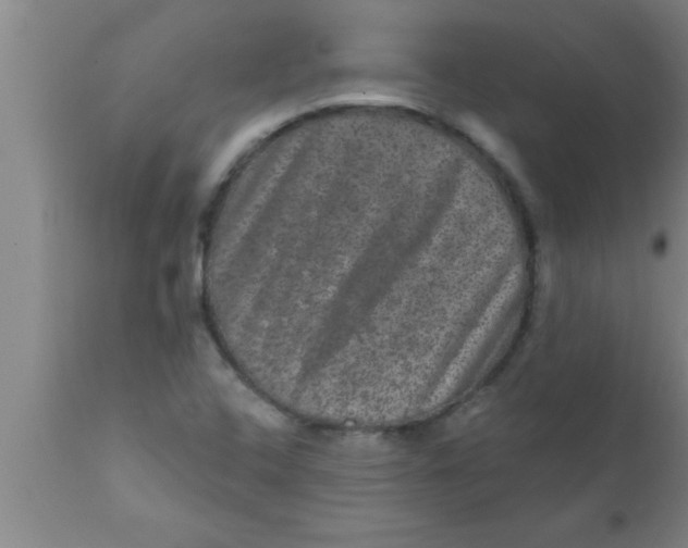 X0000111161408200907211216