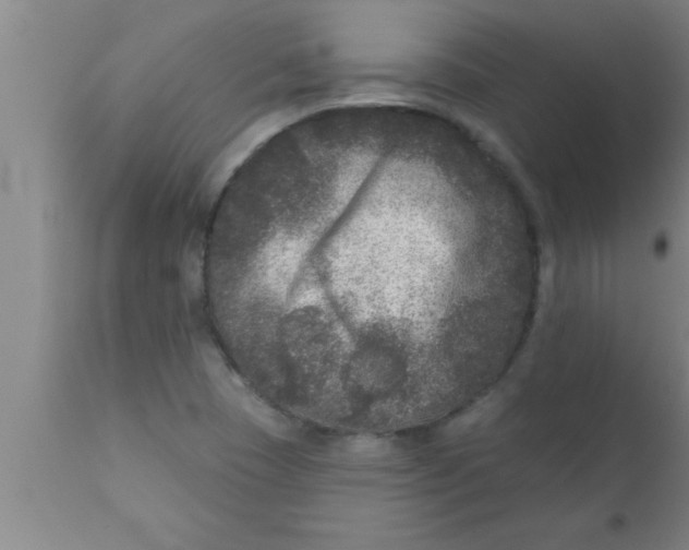 X0000111161409200907211216