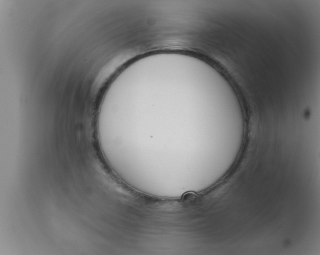 X0000111161410200907211216