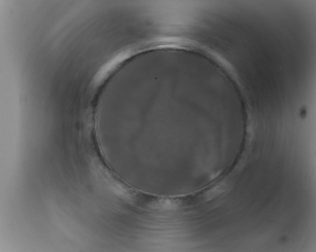 X0000111161411200907211216