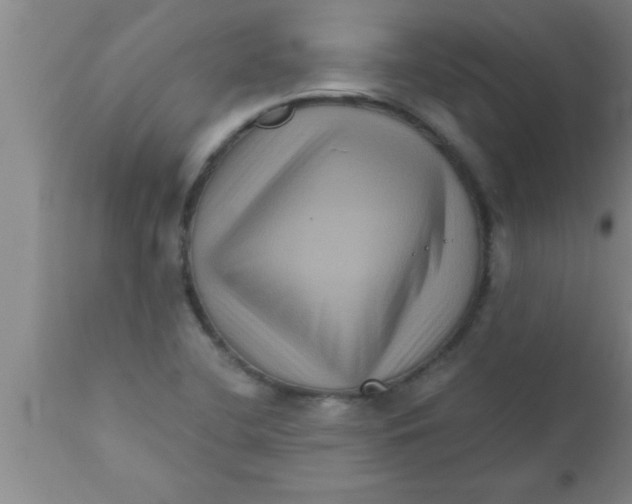 X0000111161412200907211216