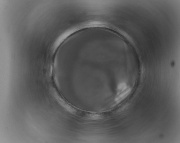 X0000111161413200907211216