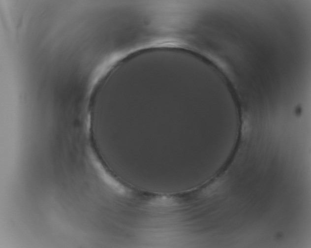 X0000111161414200907211216