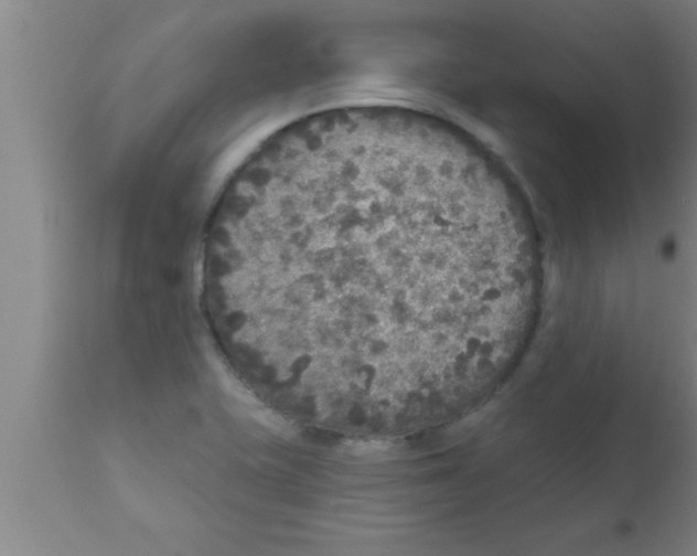 X0000111161415200907211216